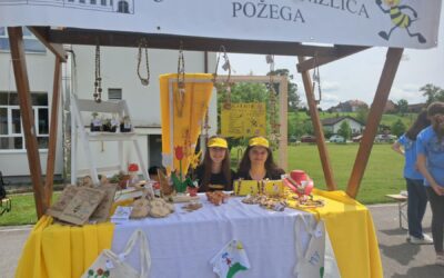 Županijska smotra učeničkih zadruga