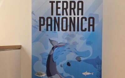TERENSKA NASTAVA UČENIKA PRVIH RAZREDA