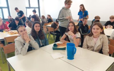 FESTIVAL MATEMATIKE – VALLIS AUREA MATHEMATICORUM