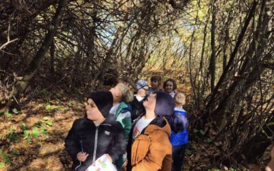 POZDRAV JESENI-TERENSKA NASTAVA U ŠUMI